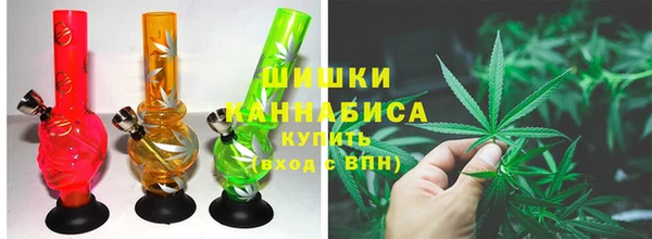 стаф Карталы
