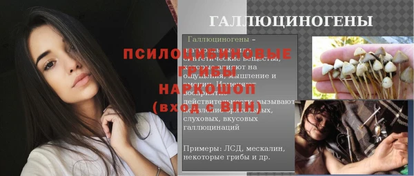 стаф Карталы