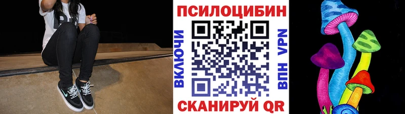 Купить где  Пролетарск  Псилоцибиновые грибы GOLDEN TEACHER 